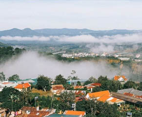Du lịch Đà Lạt - Hoa Sơn Điền Trang - Trang trại rau và hoa từ Sài Gòn